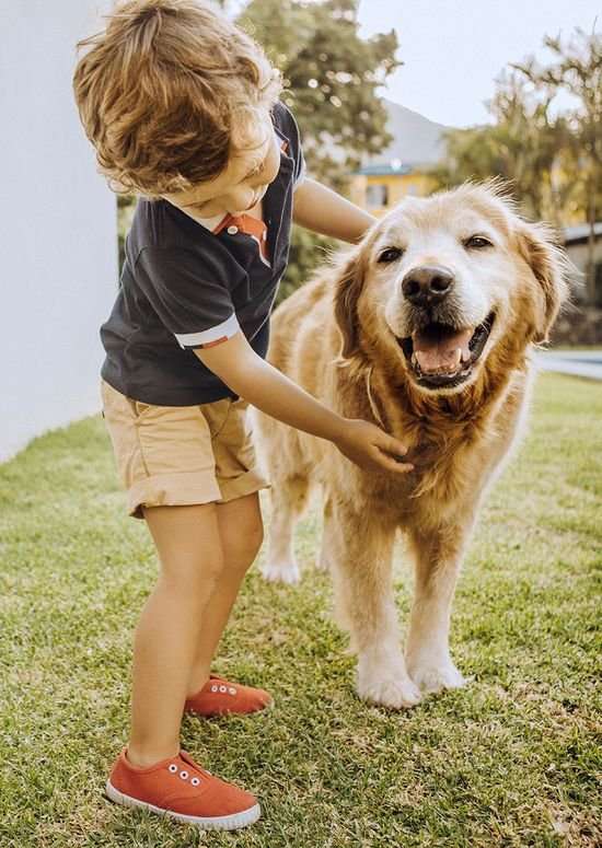 Perfekt für Pferde-/Tierliebhaber + 4 Hektar eigene Weide